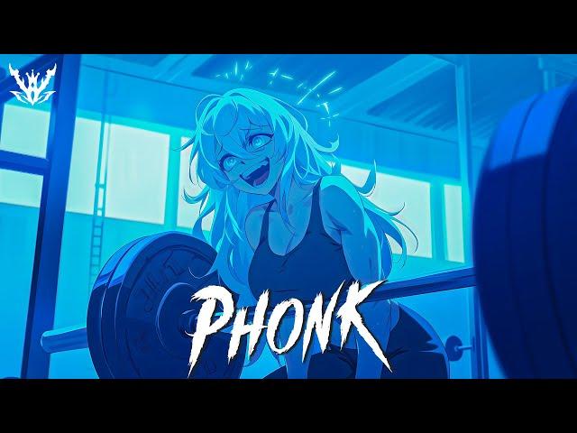 BEST BRAZILIAN PHONK MIX 2024 ※ AGGRESSIVE PHONK ※ MUSIC PLAYLIST [FUNK, GYM, AGGRESSIVE] #030