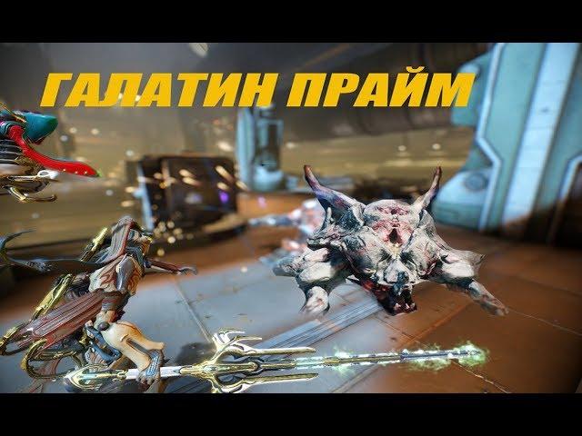 ГАЛАТИН ПРАЙМ ЭФФЕКТИВНЕЕ ВОЙНЫ - Warframe