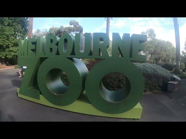 Melbourne Zoo Visit 2024