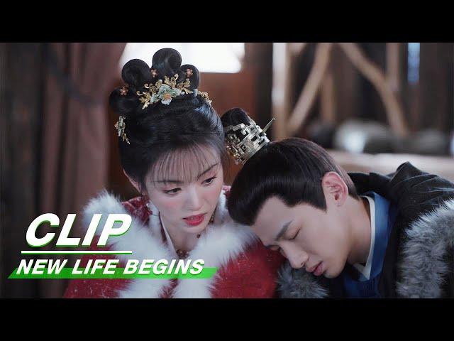 Yin Zheng Faints | New Life Begins EP36 | 卿卿日常 | iQIYI