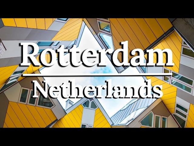 What to do in ROTTERDAM, The Netherlands