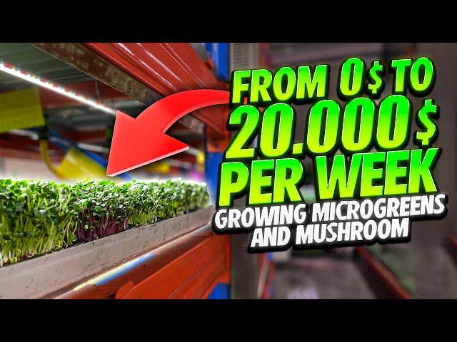 From 0$ To 20.000$ Per Week Growing Microgreens And Mushrooms