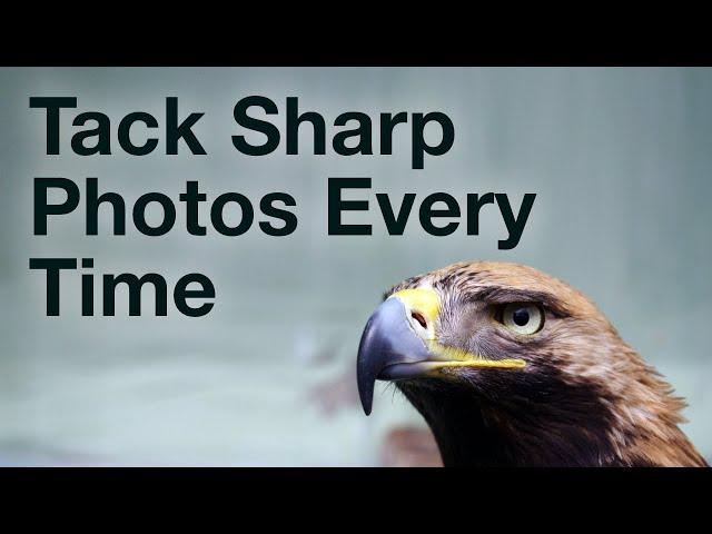 Tack Sharp Photos Every Time (4 Simple Tricks)