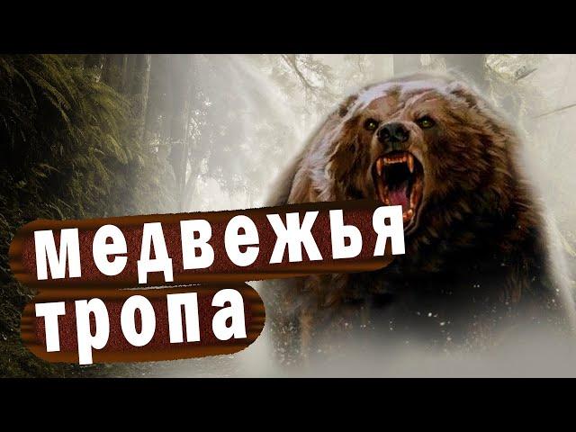 /МЕДВЕЖЬЯ ТРОПА/ Как не пытайся, а от судьбы не убежишь//