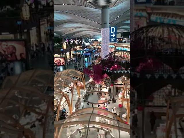 Shopping Paradise: Exploring the Beauty of a Stunning Mall. #trending #viral #video #shopping #love