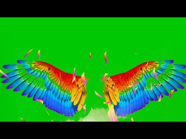 4K colorful Angel Wings Green Screen Video ( 4K Video)