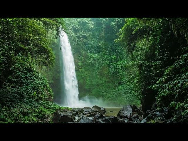 Waterfall | Nature Stock Footage | No Copyright | Motion Background Loop