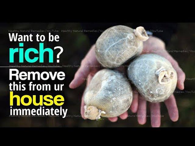 Want to be rich? Remove these things from house immediately | These things brings poverty | Vastu