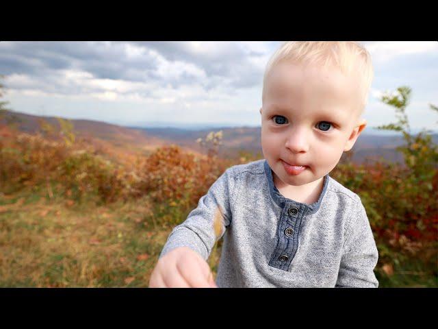 Шикарное Путешествие по Горам Blue Ridge Parkway Закончилось Шишкой на Лбу | Семейный влог в США