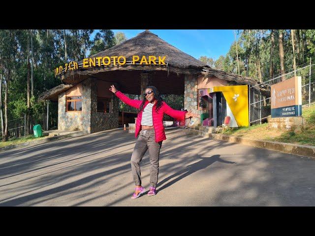 Ethiopia Travel Vlog | Entoto Park Full Tour