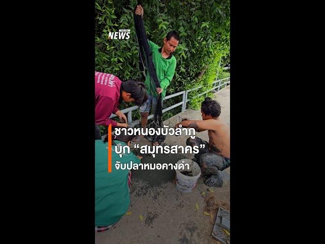 ชาว จ.หนองบัวลำภู เดินทางมา "สมุทรสาคร" เพื่อจับปลาหมอคางดำ | Thai PBS News