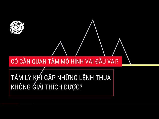 #45. Có cần quan tâm MÔ HÌNH VAI ĐẦU VAI? & gặp lệnh thua KHÔNG GIẢI THÍCH ĐƯỢC.