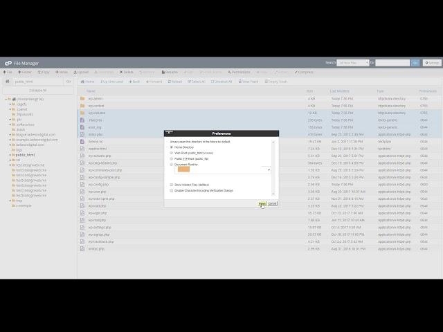 Viewing Hidden Files (htaccess) in cPanel's File Manager