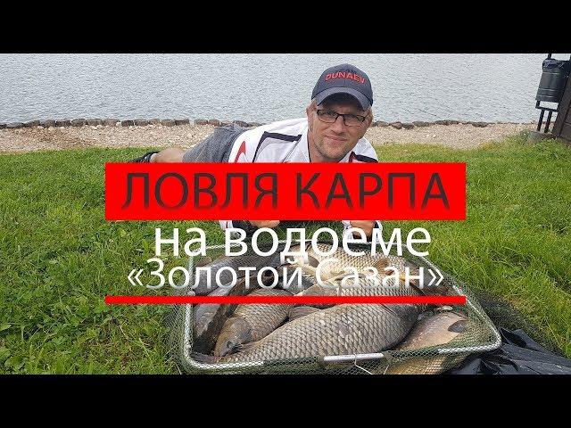 Захватывающая ловля карпа