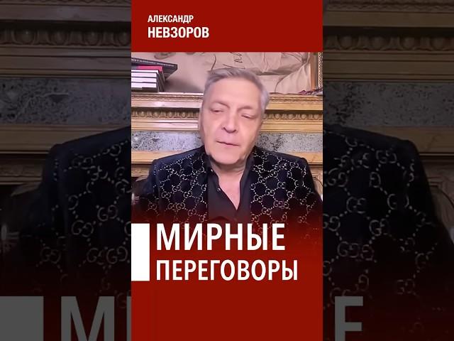 Лучший итог начала мирных переговоров #невзоров