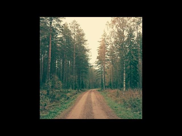 [FREE] Country Type Beat x Zach Bryan "On The Backroads"