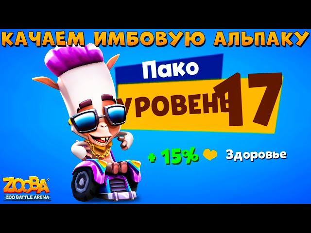 КАЧАЕМ ТЮНИНГОВАНОГО АЛЬПАКУ ПАКО НА 17 УРОВЕНЬ В ИГРЕ ZOOBA