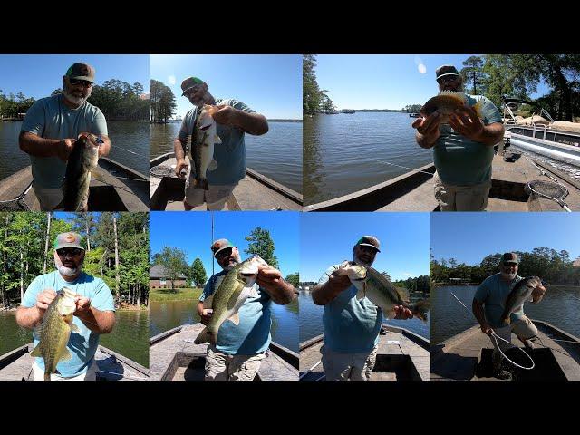 2024 Lake Murray Bass Fishing