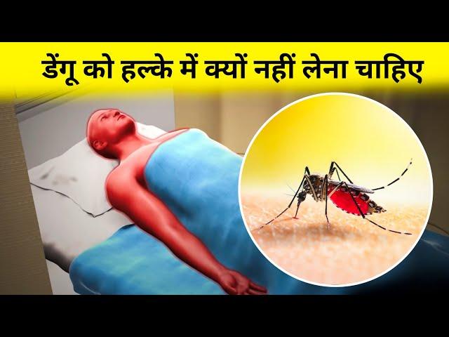 How Dengue Works ?