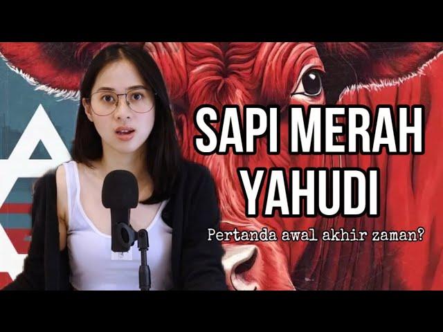 Kupas tuntas SAPI MERAH YAHUDI. Benarkah tanda akhir zaman?