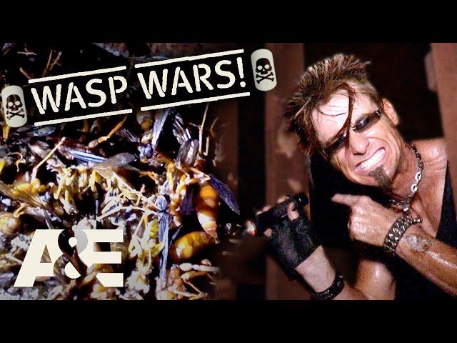 Billy the Exterminator: WASP WARS! - Top 3 Moments | A&E