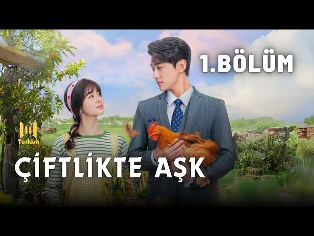 Çiftlikte Aşk l 1. Bölüm l Don't Disturb Me Farming | Qu Meng Ru, Li Zhuo Yang l 别打扰我种田