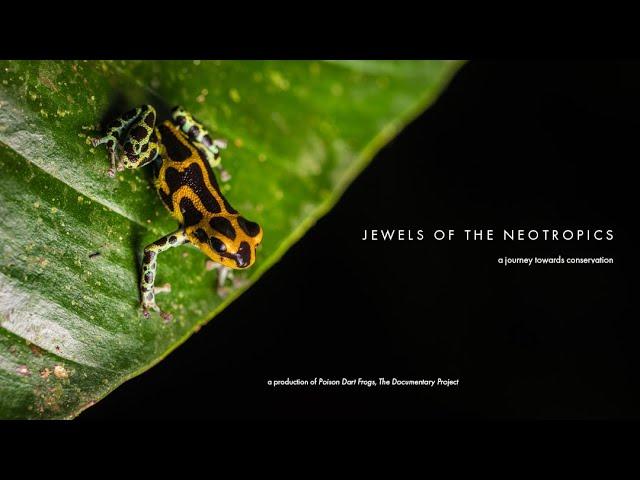 Jewels of the Neotropics