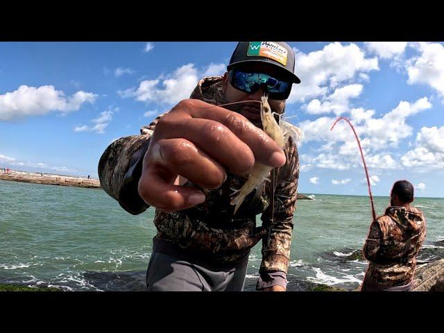 Jetty Fishing With Live Shrimp! (Catch and Cook)* Packery Channel