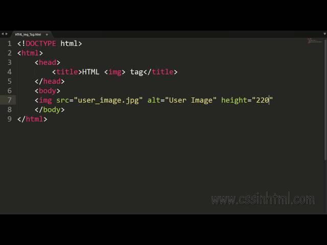 HTML img Tag