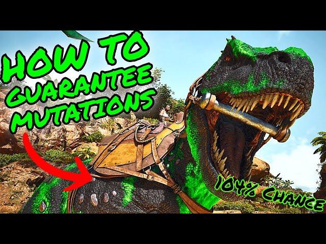 How To GUARANTEE Getting MUTATIONS in Ark Survival Ascended! ASA MUTATION/BREEDING GUIDE