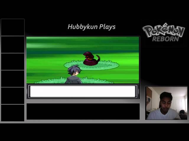 Pokemon Reborn Extra 2: Heracross/Pinsir and Joltik, Life Orb