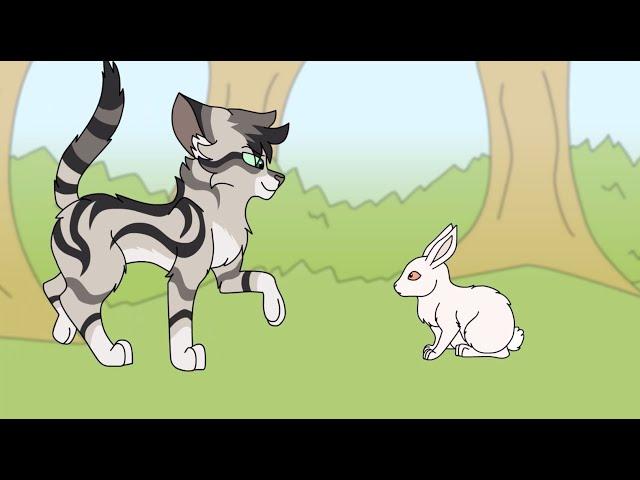 Longtail's Patrol Meets A Rabbit