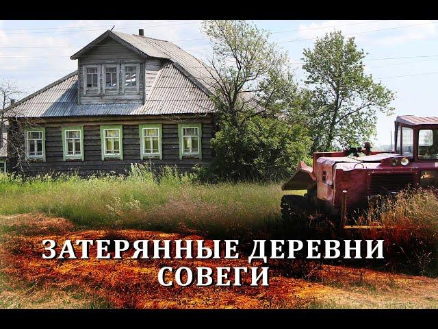 Уютная русская деревня в глуши / Как живут в отдаленных деревнях среди болот / Костромская область