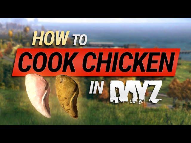 How to Cook a Chicken in DayZ (Xbox, PS4, PC) 2021