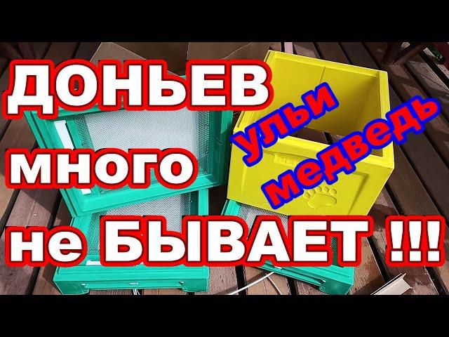 Донья УЛЬЕВ МЕДВЕДЬ с ОЗОН ! ДОНЬЕВ для ульев много НЕ БЫВАЕТ ! ППУ ульи медведь !