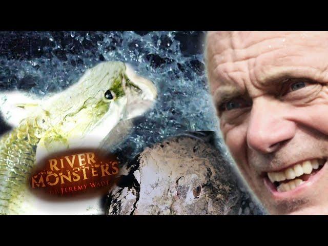 THE BEST Catches of Season 6! | COMPILATION | River Monsters