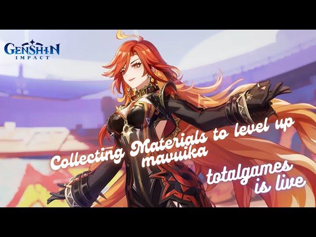 Collecting Materials to level up mavuika  #genshinimpact #mavuika #pcgamer #genshinlivesteam