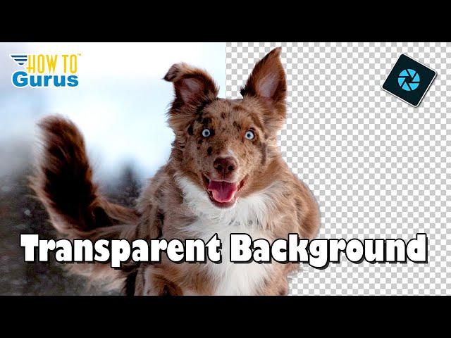 How You Can Remove a Background or Make it Transparent with Photoshop Elements