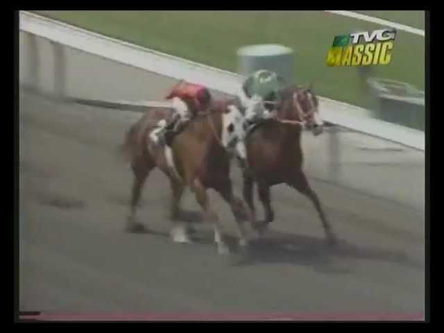 MATCH RACE - Quarter Horse -vs- Thoroughbred