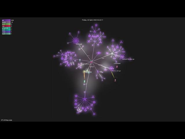 XTLS/Xray-core - Gource visualisation