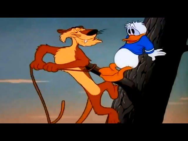 Donald Duck & Chip and Dale -  Donald Duck lion attack - Cartoons for Children TV series !!!