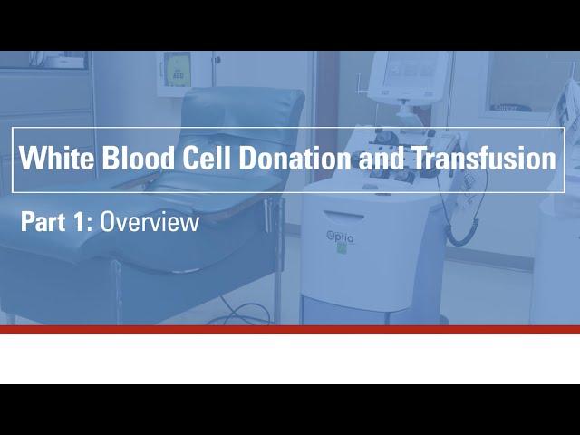 White blood cell donation and transfusion - part 1: Overview