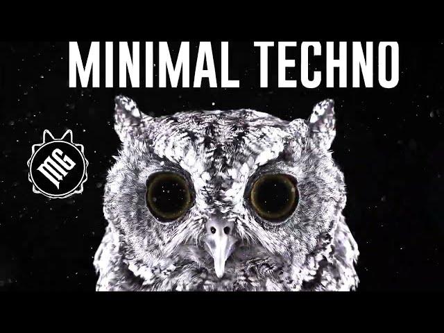 EVIL OWL - MINIMAL TECHNO ENERGY 2021 SUMMER