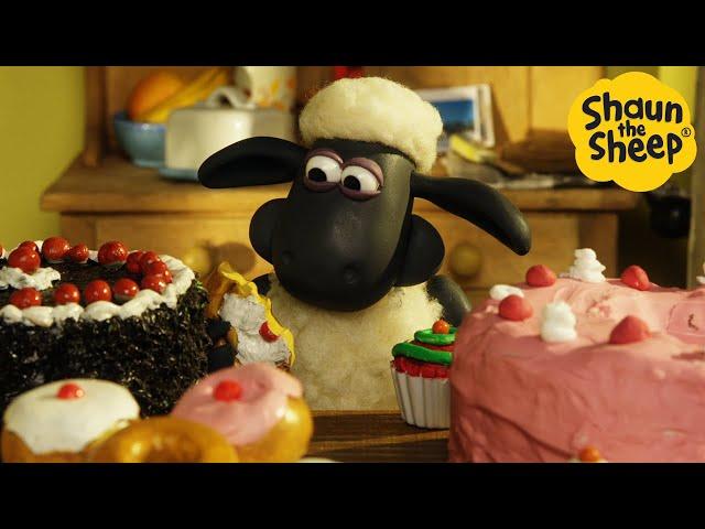 Shaun the Sheep  The Cake Disaster  Full Episodes Compilation [1 hour]