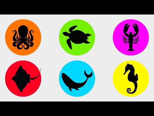 Sea Animals: Whale, Turtle, Octopus, Lobster, Sea Horse.
