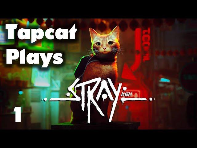 Tapcat Plays Stray Part 1