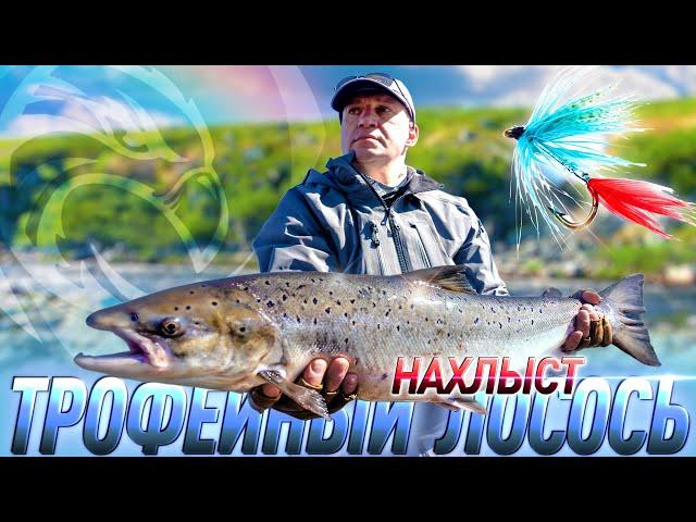 Get Ready for the Unexpected: Trophy Fishing on the Kola Peninsula! [4K]