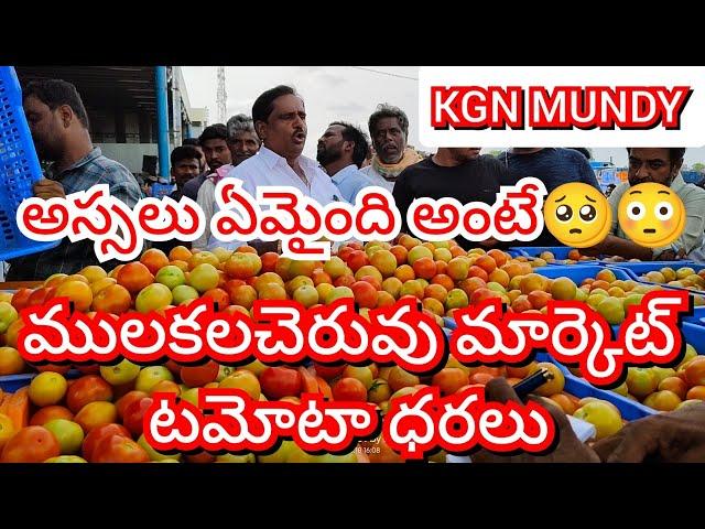 21-12-24 Mulakalacheruvu Tomato Market price Today || Today Tomato Market Rate in Mulakalacheruvu