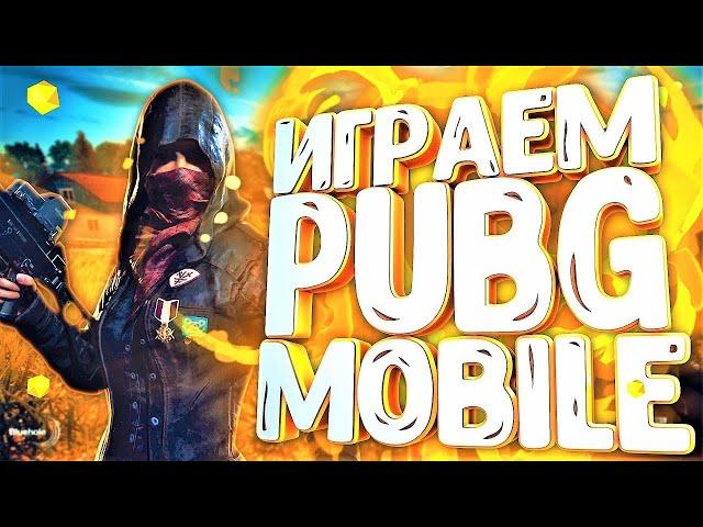 PUBG MOBILE и боты в игре. Как играть без них?