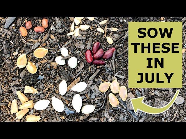 8 Seeds You Must Grow in July